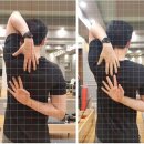 르메드 - 마포구 포은로 46 | 르메드