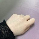 (주)벨모나 네이버블로그