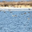 우강평야1로 이미지