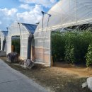 창촌2리 경로당 이미지