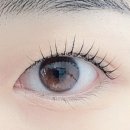 마젠타 뷰티