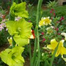 성효농장 이미지