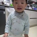 삼닭농장 | 하림 오드그로서에서 당일도계 닭고기주문했어요.