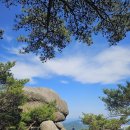 원통사 - 1238 | 원통사
