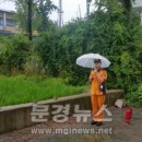 의곡1리 이미지