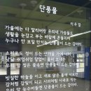 단풍물 - 이우걸 이미지