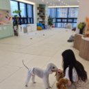 멍쓰홀릭 이미지