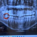 365라온누리치과의원 이미지