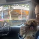 (주)에이치쓰리 | 기록 - 길고 길었던 k카 캐피탈 대출금 완납 !