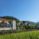 남해-219 이미지