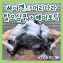 [머리나라 프리미엄플러스 탈모샴푸 + 헤어토닉] 두피에 자극없고 산뜻한 탈모샴푸추천