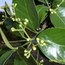 익산공단우체국 이미지