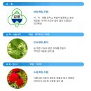 갑룡초등학교 이미지