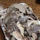 순대벅스 이미지