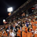 둥지파크 이미지