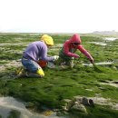 감태해장국 이미지