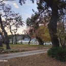 구룡장어식당 이미지