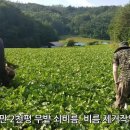 삼생마을 이미지