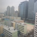 장미아파트 앞 이미지