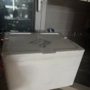 천성 카 | 천성 진양철회장 좌대 마지막후기(카부세 조법 도전기)