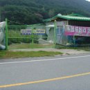 재식농장 Daum카페