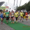 감귤 국제마라톤 달리기 이미지