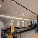 플레이독애견카페 | 홍천 애견동반 여행 비발디파크 소노펫 3탄 - 애견동반카페 띵킹독 이용후기