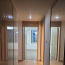 에코미르 이미지