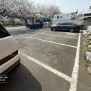 백복수반 이미지