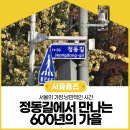 정동근린공원 | 서울의 가장 낭만적인 시간: 정동길에서 만나는 600년의 가을