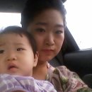 김미진 카카오 검색결과