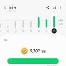 텐피씨카페 이미지