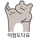 심쿵냥 고양이분양 이미지