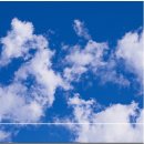 민간약초생활한방 이미지