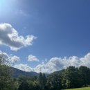 다니엘 양봉 | 독일 일상: Woche 1