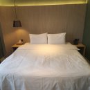 브라운도트 진하해수욕장점 이미지