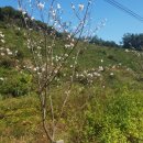 춘추농장 이미지