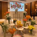 (주)에스원동수원지사 | [결혼 준비] 수원 루클라비 홀투어 및 상담 후기 (어두운홀, 26년 상반기, 계약X)