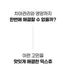 댕댕이연구소 네이버블로그
