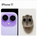 재주당 동명점 이미지