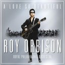 Roy Orbison - A Love So Beautiful 이미지