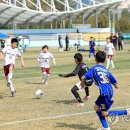 인제천연잔디구장 이미지