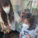 아잉독 애견카페 이미지