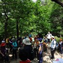 장미의거리12 이미지