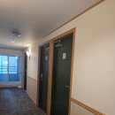 토요코인 서울 동대문 Ⅱ | 가성비 끝판왕 토요코인호텔 서울 동대문 내돈내산 후기