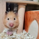 로얄종합동물병원 이미지