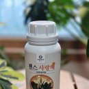 (주)젠스 이미지