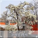 그저모이기