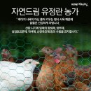 자연드림 이미지