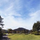 대성인터내셔날 이미지